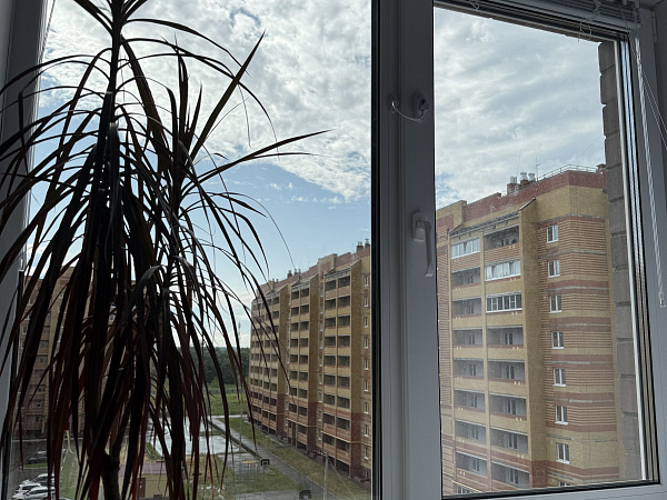 Окна Krauss с мультифункциональным стеклопакетом и тонировкой фото 6