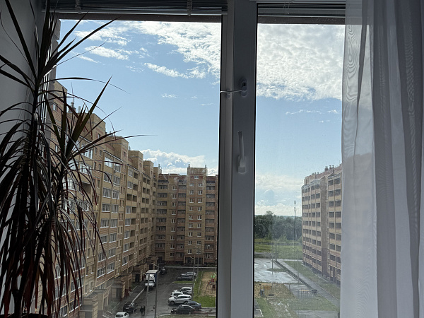 Окна Krauss с мультифункциональным стеклопакетом и тонировкой фото 3